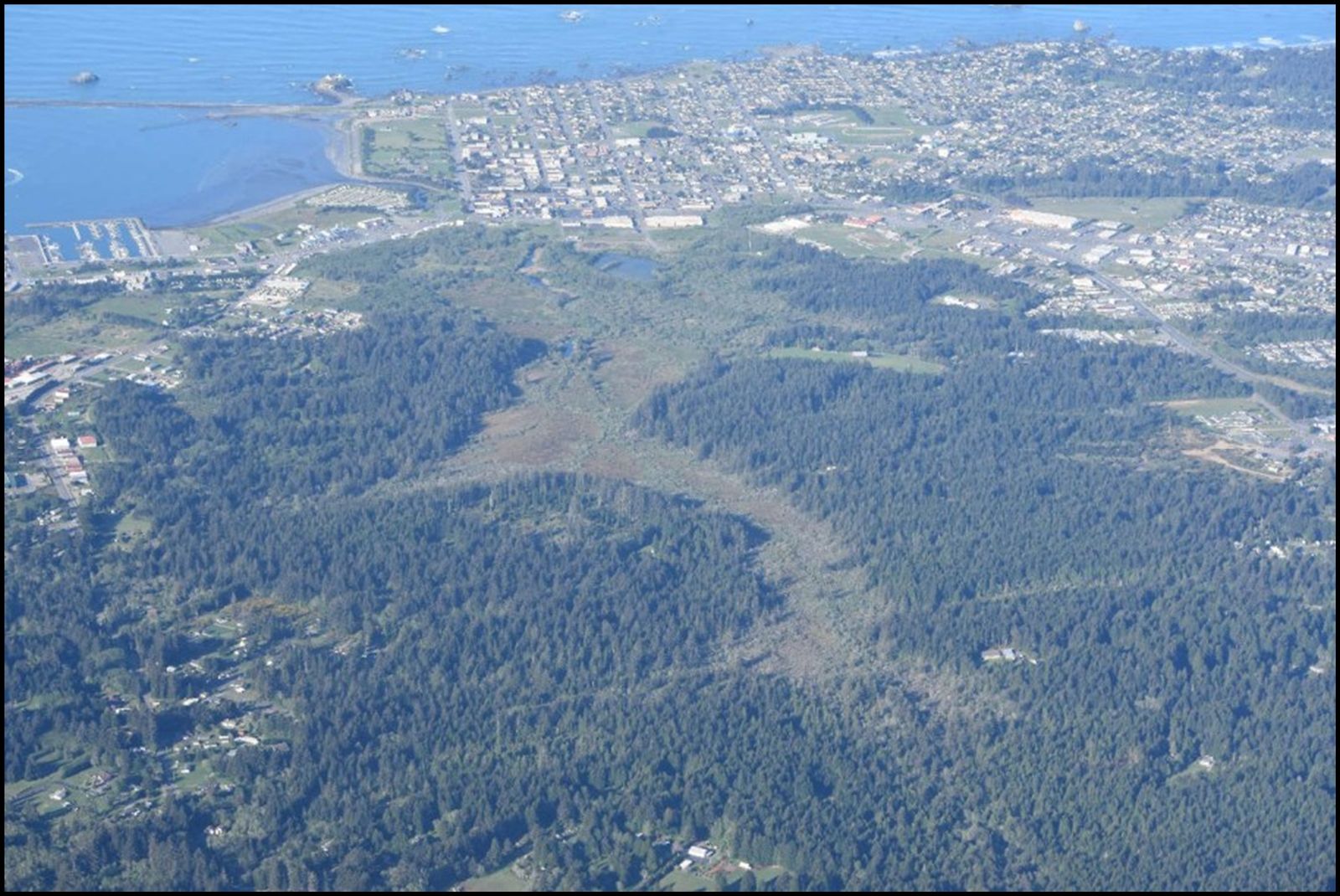 Aerial view of forest and creek along lower Elk Creek, Del Norte County.